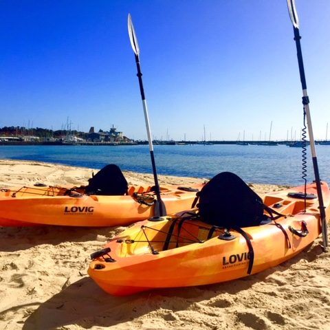 Mornington boat hire 1