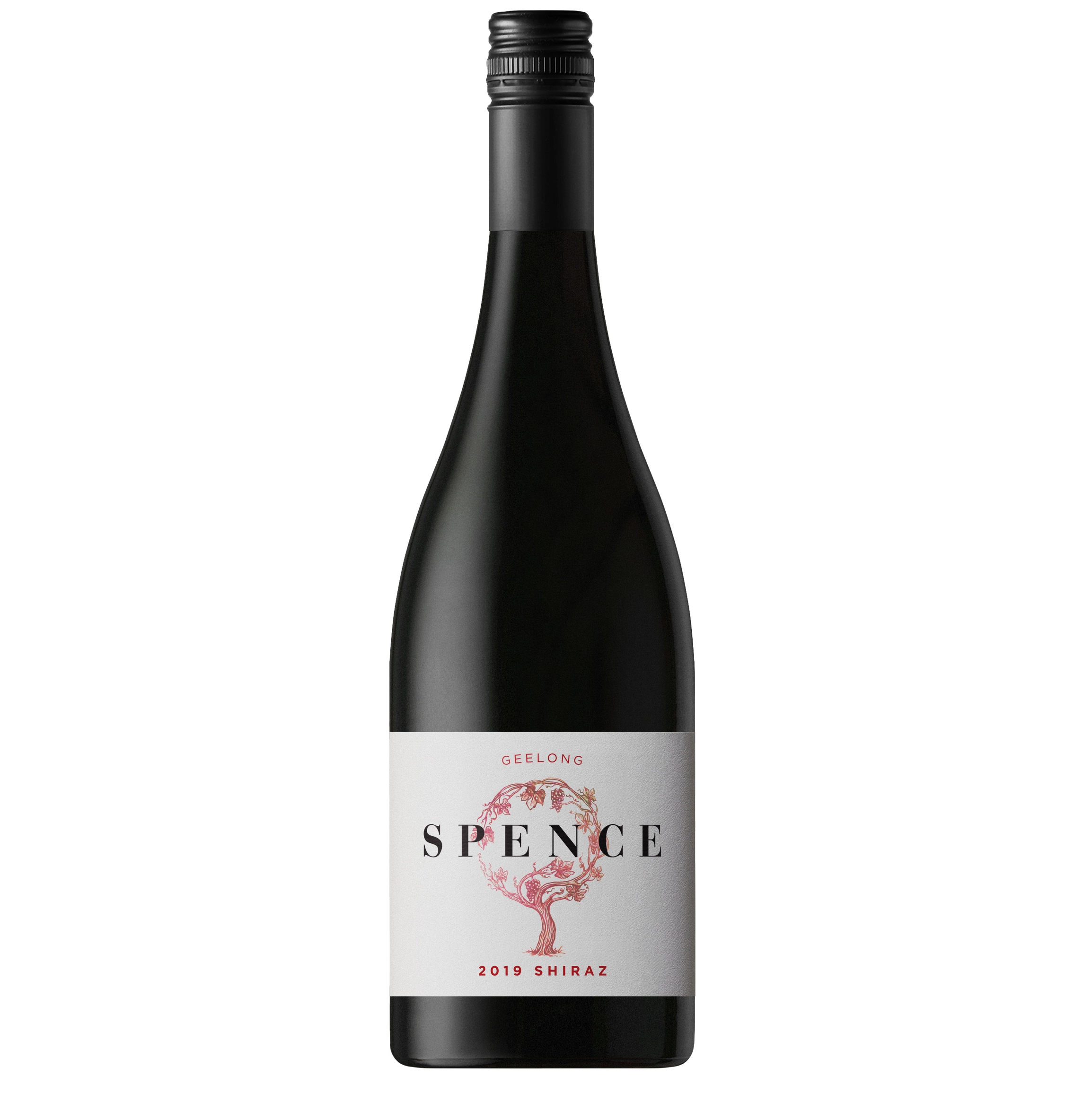 shiraz2019SQU